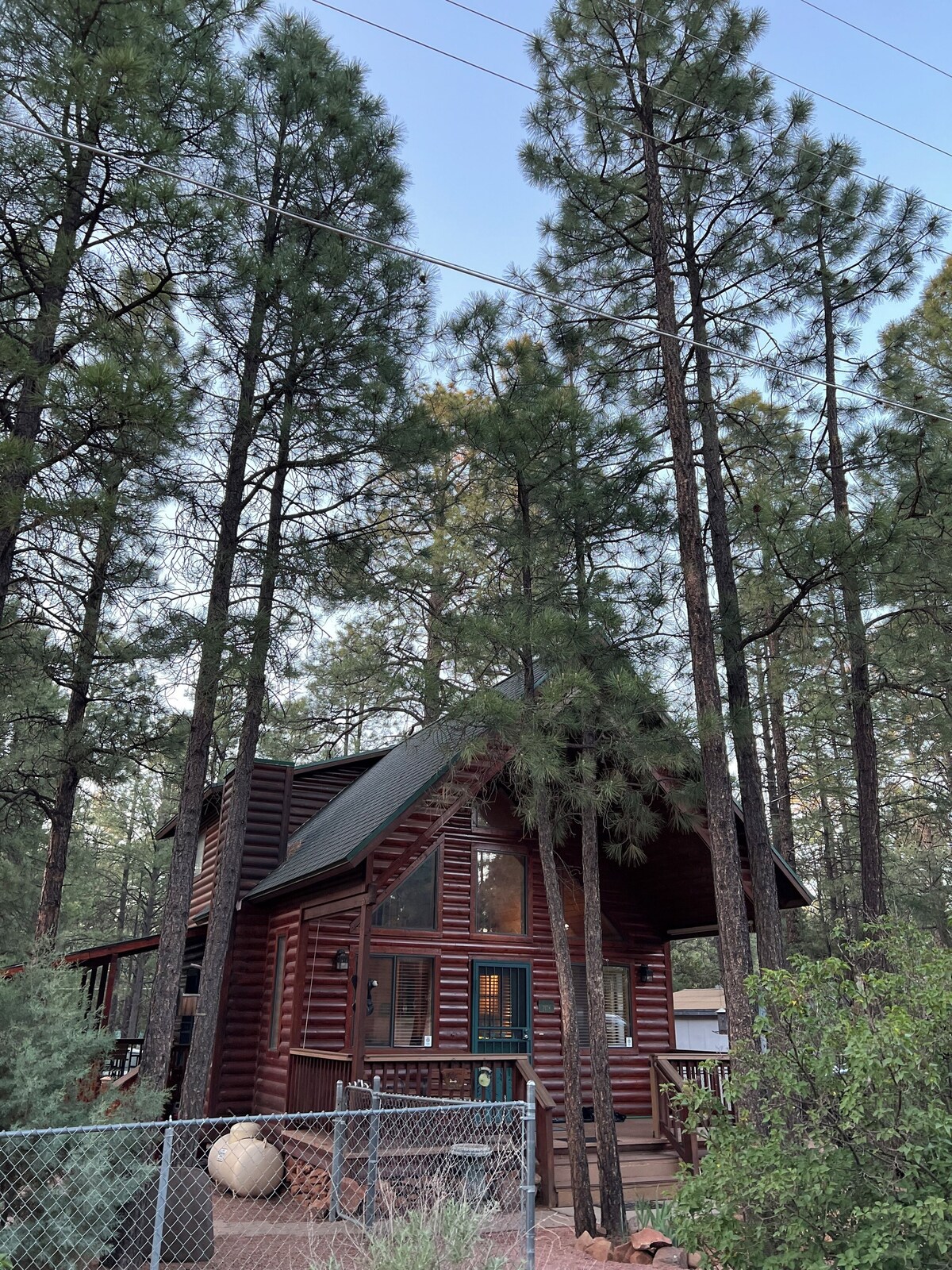Main Image