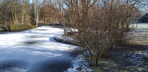 Boendeområde