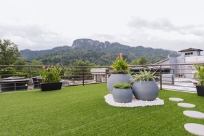 Rooftop garden