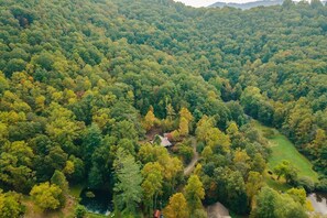 The house ~ nestled on acres of private land, yet only 10 minutes to downtown Asheville