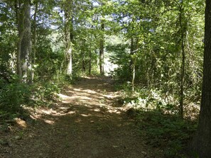 Trail out the back of the property.