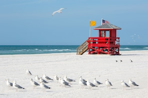 Did you know that the sand on Siesta Key is made of 99% quartz? - According to geologists, it is estimated that the sand on Siesta Key is millions of years old.
Even on the hottest days, the sand is so reflective that it feels cool underfoot.