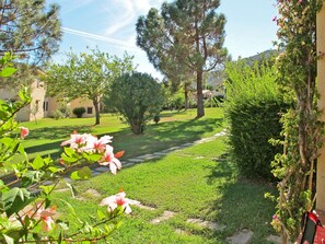 Property, Garden, Grass, Yard, Lawn, Tree, Spring, Land Lot, Real Estate, Plant
