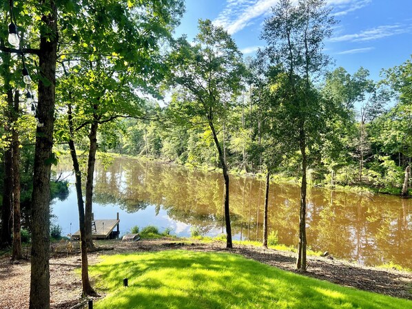 Pond view from back deck.
