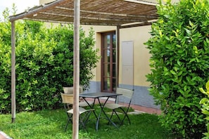 Garden [summer]