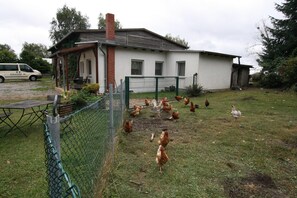 Holiday Home Exterior [summer]