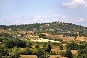 Immediate Surroundings [summer] (&lt;1 km)