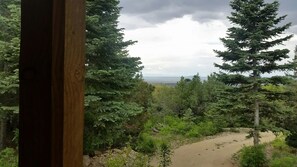 A tree filled and moody view from the porch