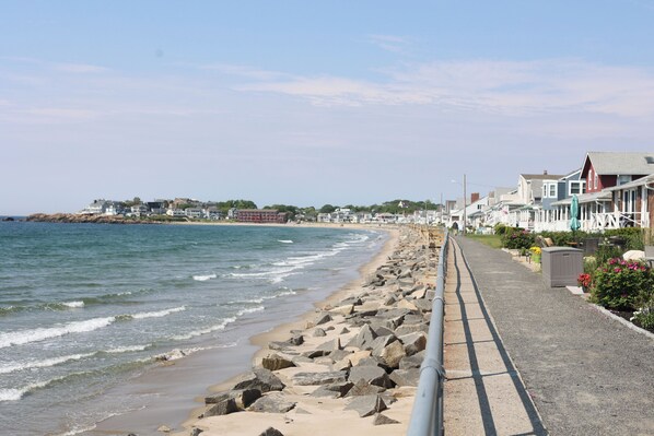Boardwalk