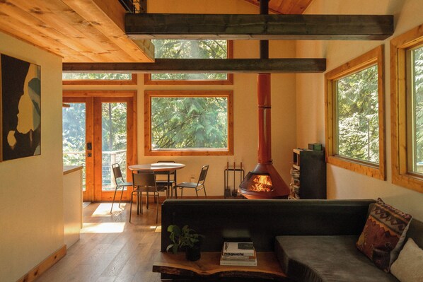 Living room and fireplace