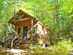 Beautiful Green surrounds Robin's Nest 