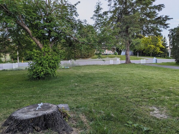 Property grounds
