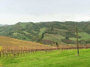 In der Region [Sommer] (>5 km)