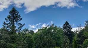 Ausblick