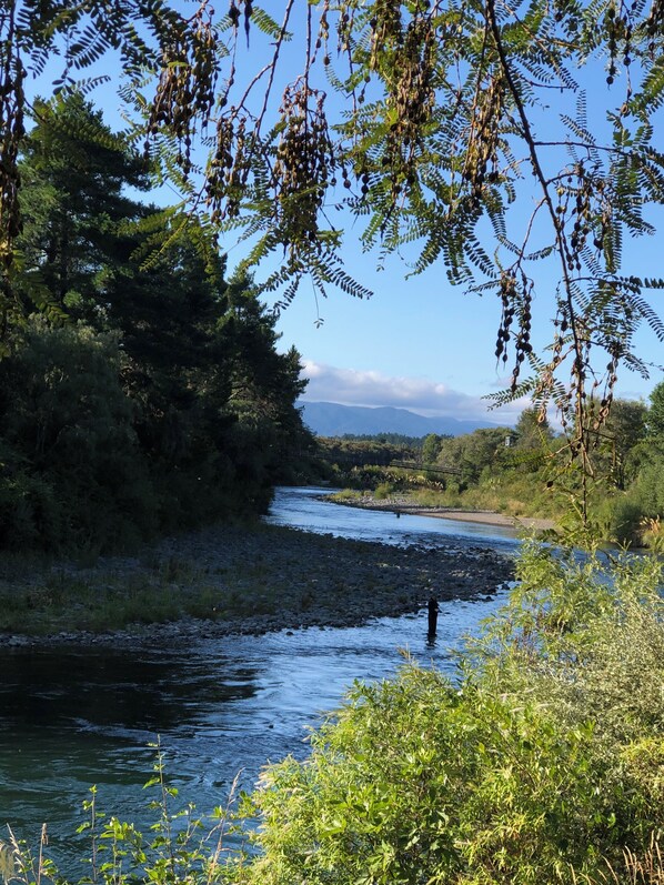 River -  1 minute walk to Major Jones Pool 