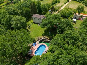 Garden, Outdoor, Pool