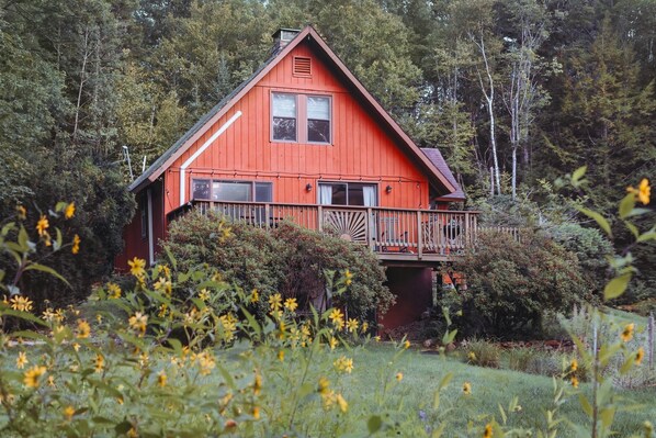 Welcome to Alder House!