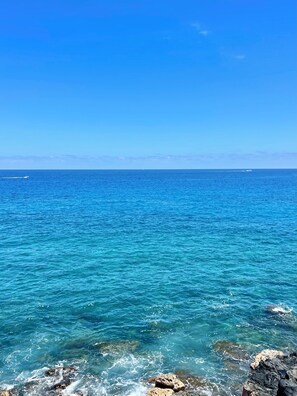 Lanai view looking straight out.