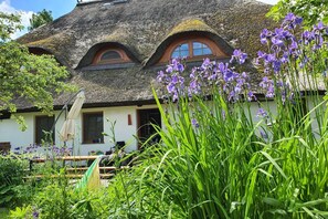 Garden [summer]