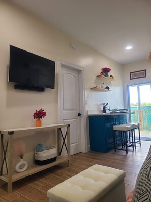 Living room and tv area