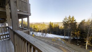 Nature, Outdoors, Scenery, Tree, Fir