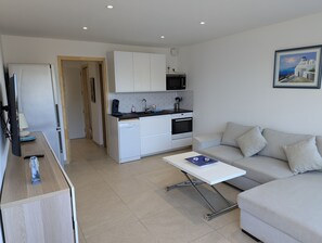 Modern kitchen, open to the living room