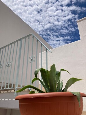 Courtyard with terrace 