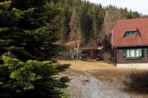 View from outside in autumn