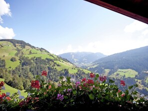 View from Holiday Home [summer]