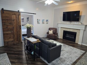 Living Room with Huge drop-down TV