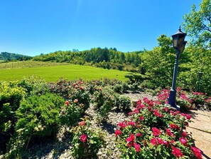 Boendeområde