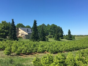 Außenseite Ferienhaus [Sommer]
