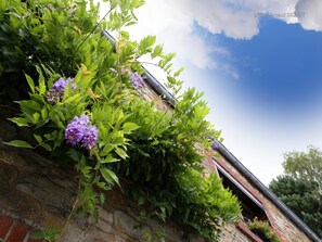 Stugans exteriör [sommar]