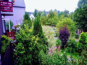 View from Holiday Home [summer]