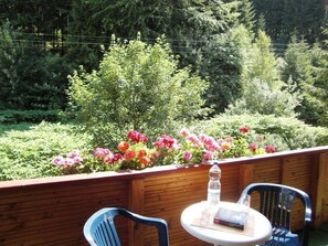 Terrasse / Balkon