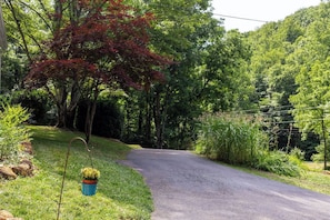 Enjoy roaming our huge property - 23 acres!