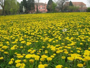 Außenseite Ferienhaus [Sommer]