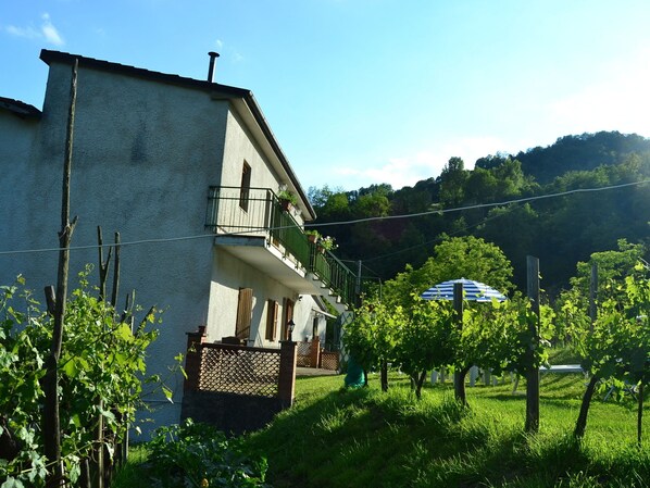 Außenseite Ferienhaus [Sommer]