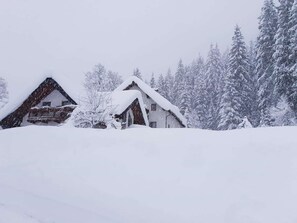 Extérieur maison de vacances [hiver]