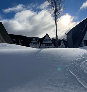 Ski right from your doorstep to Smelt Streamer!
