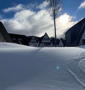 Ski right from your doorstep to Smelt Streamer!