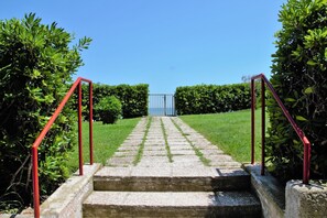 Garden [summer]