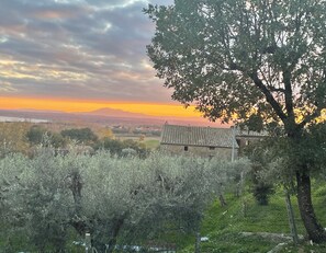 Breathtaking view from the front porch of the sun setting over the olive groves