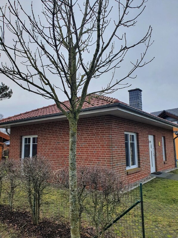 Exteriör