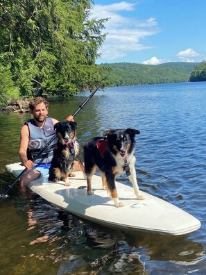 Pet-friendly