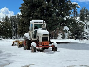Winter farming