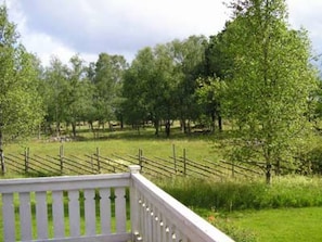 view from the terrace