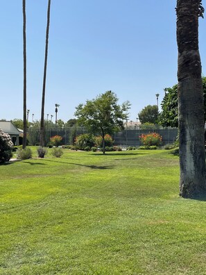 Property grounds