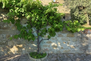 Außendetails