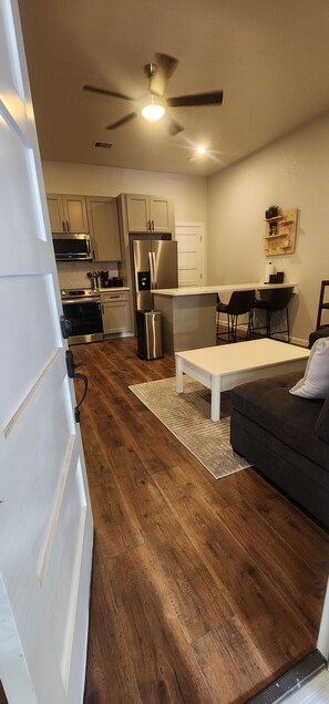 Entry into the living room